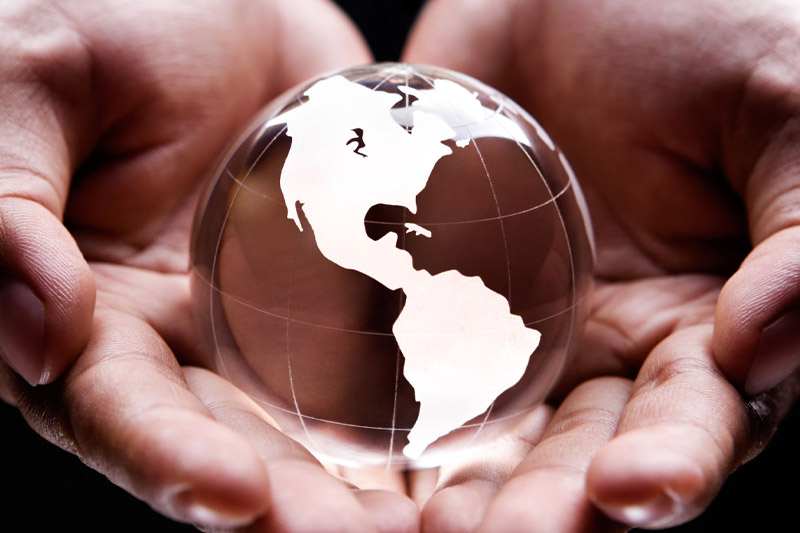 Global Distributor